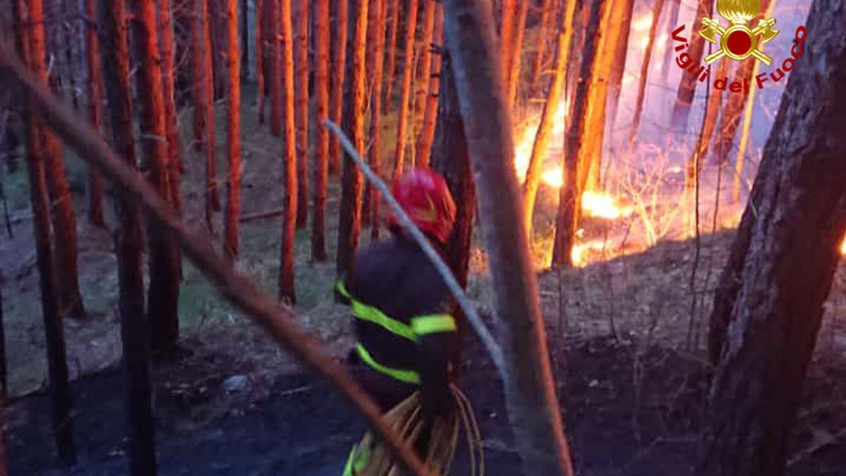 San Benedetto, definito il perimetro dell'incendio nel bosco