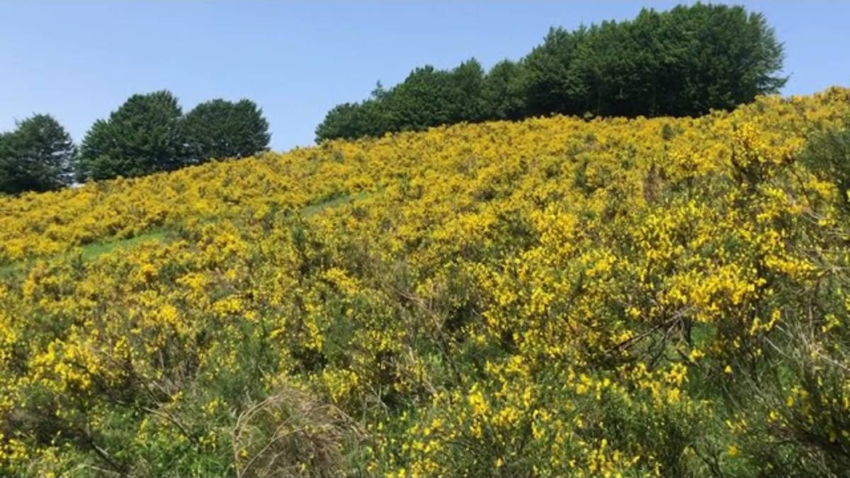 Bagno di Romagna, passeggiate di Savio Trail giovedì 22 e venerdì 23 giugno: come iscriversi