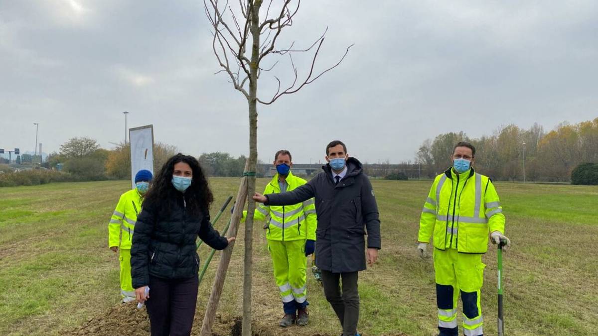 Inizia a nascere il primo bosco urbano a Cesena