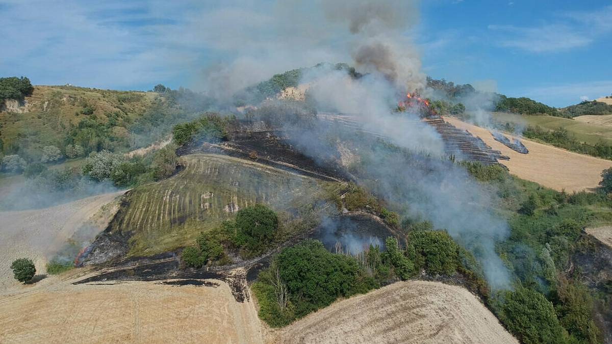Incendio a Pian di Spino, vigili del fuoco impegnati dal mattino FOTO e VIDEO