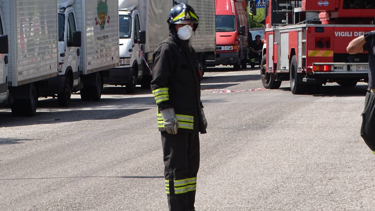 Gatto nel vano motore salvato dai vigili del fuoco di Medicina