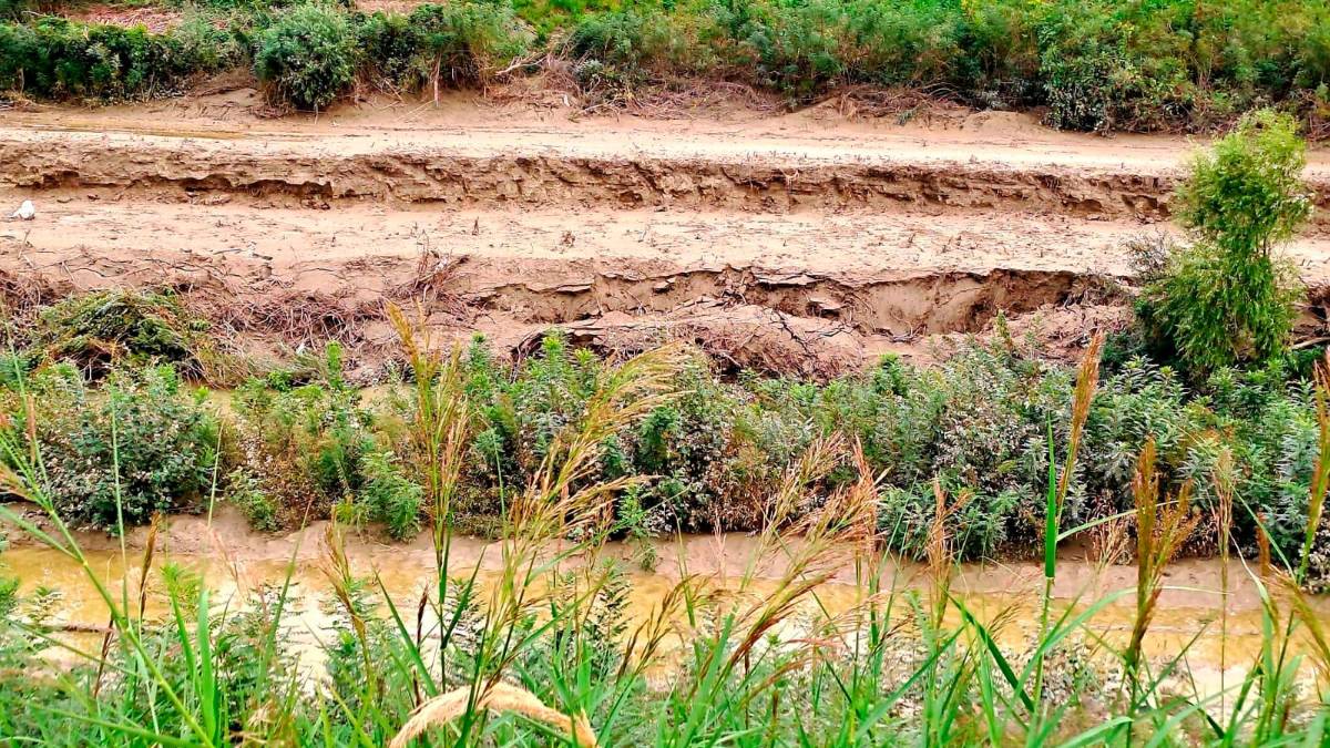 Alluvione in Romagna, i residenti: “La nostra battaglia in difesa dell’argine ha salvato Sant’Agata”