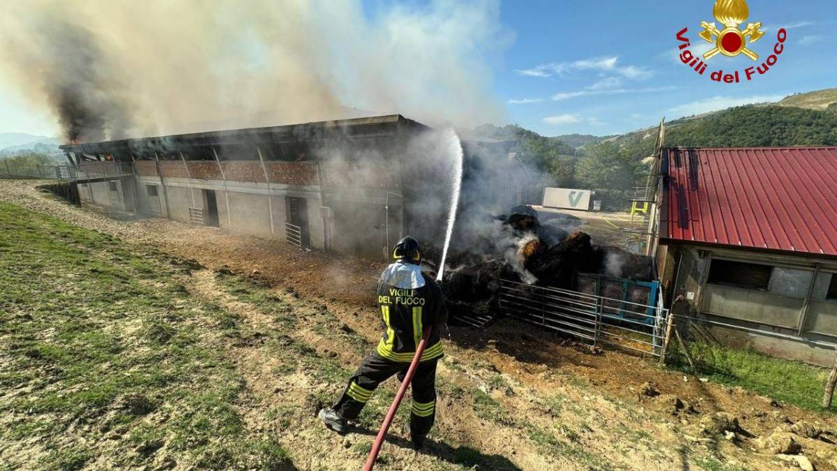 Predappio. Incendio distrugge capannone pieno di rotoballe: 7 squadre di vigili del fuoco al lavoro per domare le fiamme