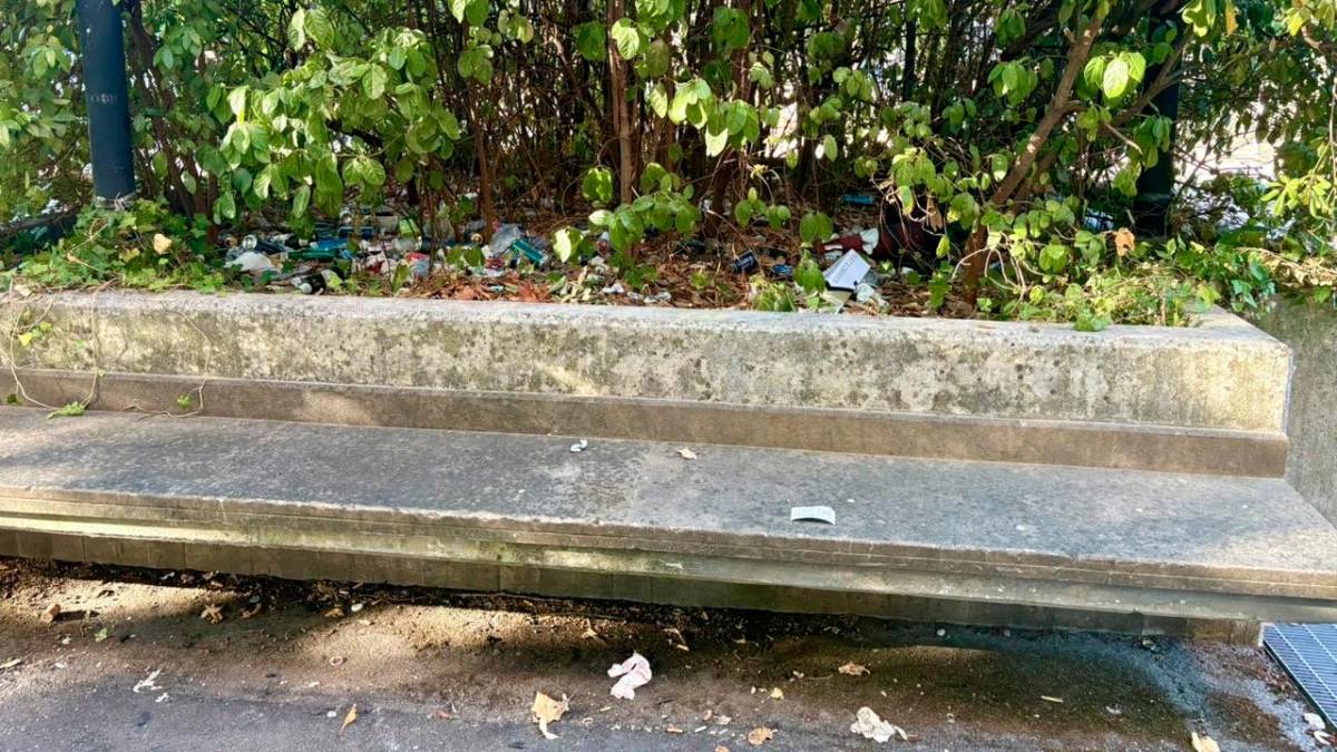 Cesena, aiuola e panchina ridotte a immondezzaio in via Gaspare Finali: proteste per i bivacchi alcolici