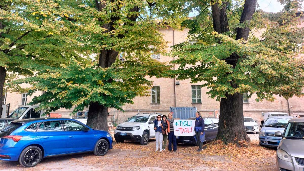 Ravenna, il TAR blocca l’abbattimento dei tigli centenari all’ex Seminario