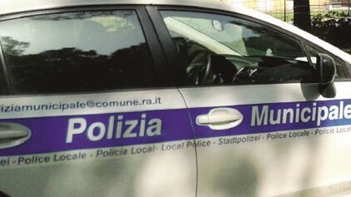 Lasciano i cani chiusi nel camper sotto il sole per andare a Mirabilandia, denunciati
