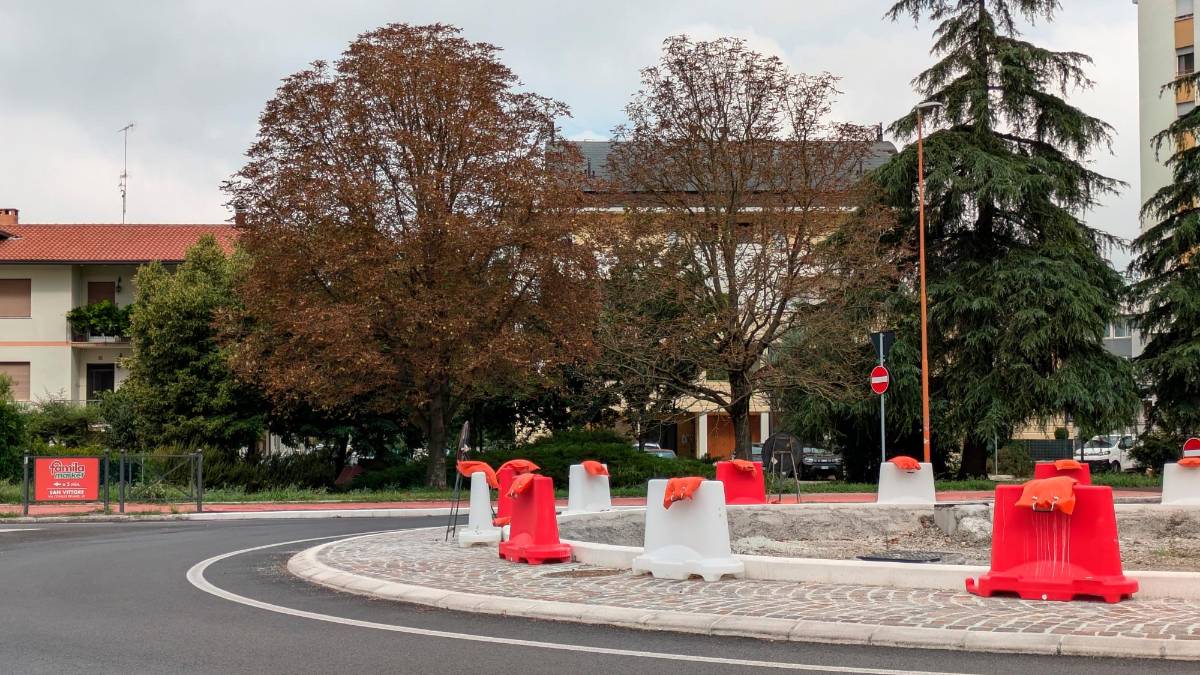 Gli ippocastani di via Savio a Villarco