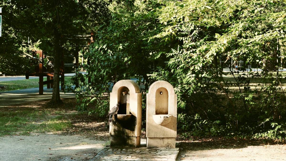 Imola, mappate le fontanelle dell’acqua gratis in città sono 77 GALLERY MMPH