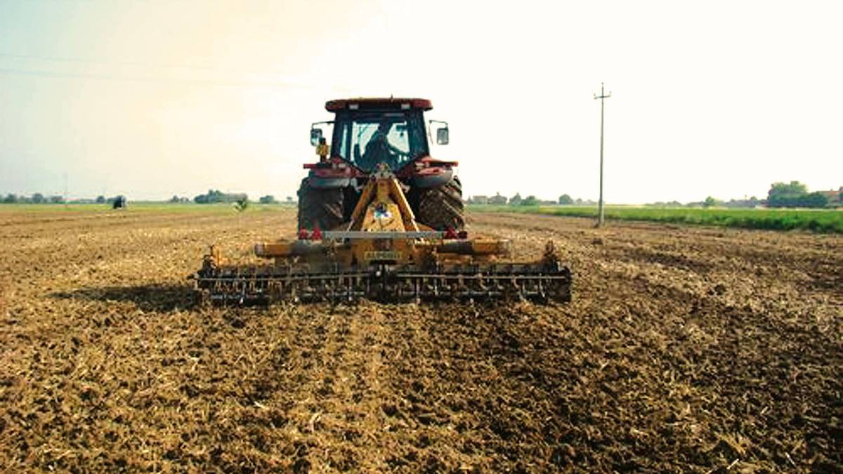 Agricoltura, da Agrea pronti 394 milioni di euro per le imprese: oltre 78 milioni arrivano in Romagna