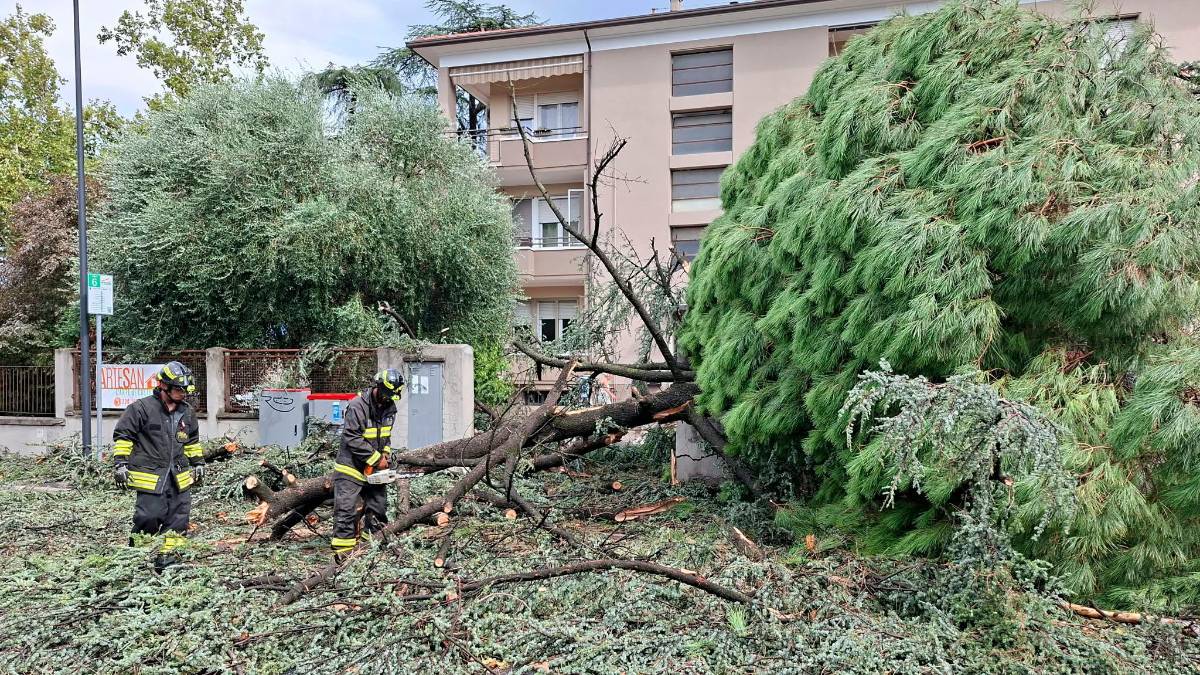 Nubifragio a Forlì: una strage di alberi e rami caduti, chiusi parchi e giardini pubblici FOTOGALLERY