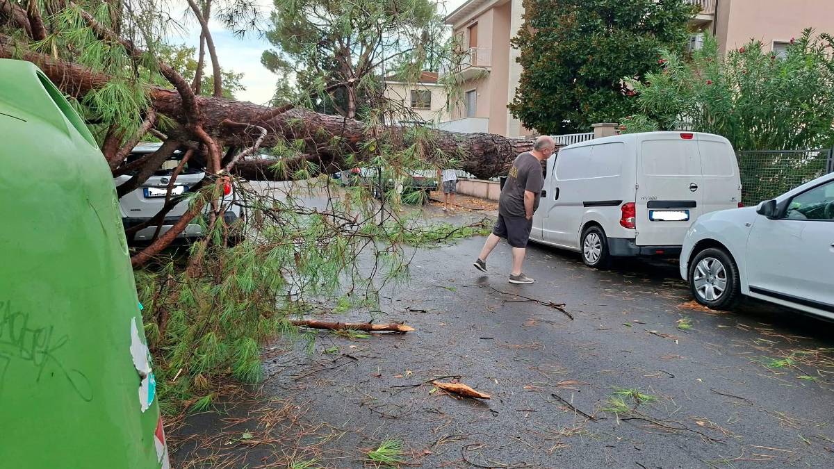 Nubifragio a Forlì: una strage di alberi e rami caduti, chiusi parchi e giardini pubblici FOTOGALLERY