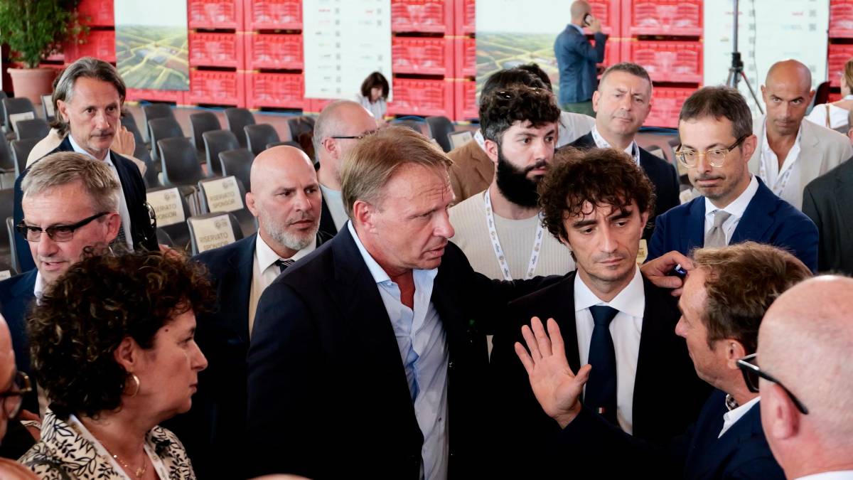 A Castel Bolognese il polo europeo del kiwi di Agrintesa - Gallery