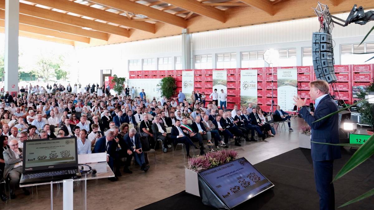 A Castel Bolognese il polo europeo del kiwi di Agrintesa - Gallery