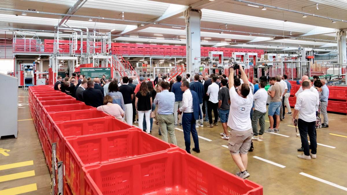 A Castel Bolognese il polo europeo del kiwi di Agrintesa - Gallery