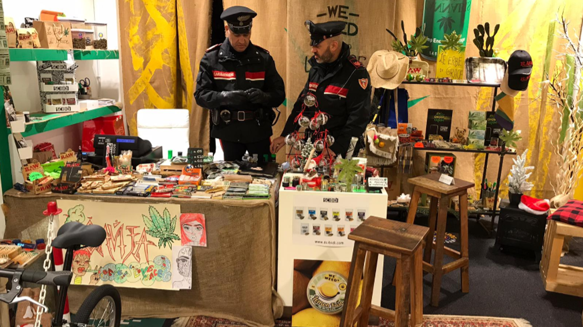 Riccione. Marijuana vera al canapa light: arrestato Oscar Maggioli