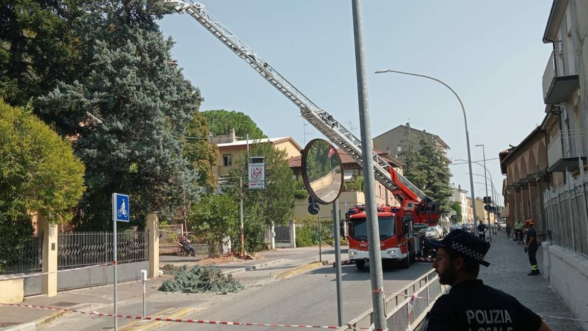 Forlì, via Ravegnana chiusa per un albero pericolante da abbattere