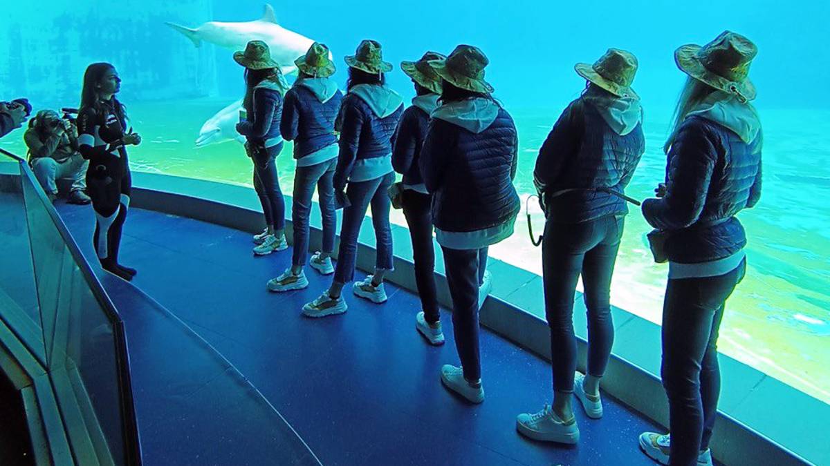 #getAltImage_v1($tempImage)