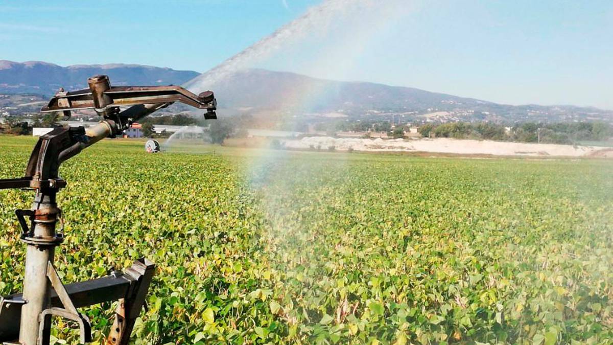 Segnalati problemi per l’irrigazione foto d’archivio