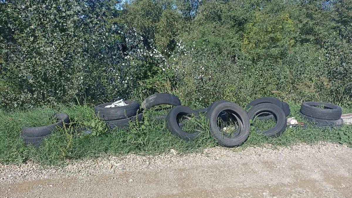 Un chilometro di rifiuti abbandonati tra Russi e Bagnacavallo: Scempio lungo l'argine del Lamone