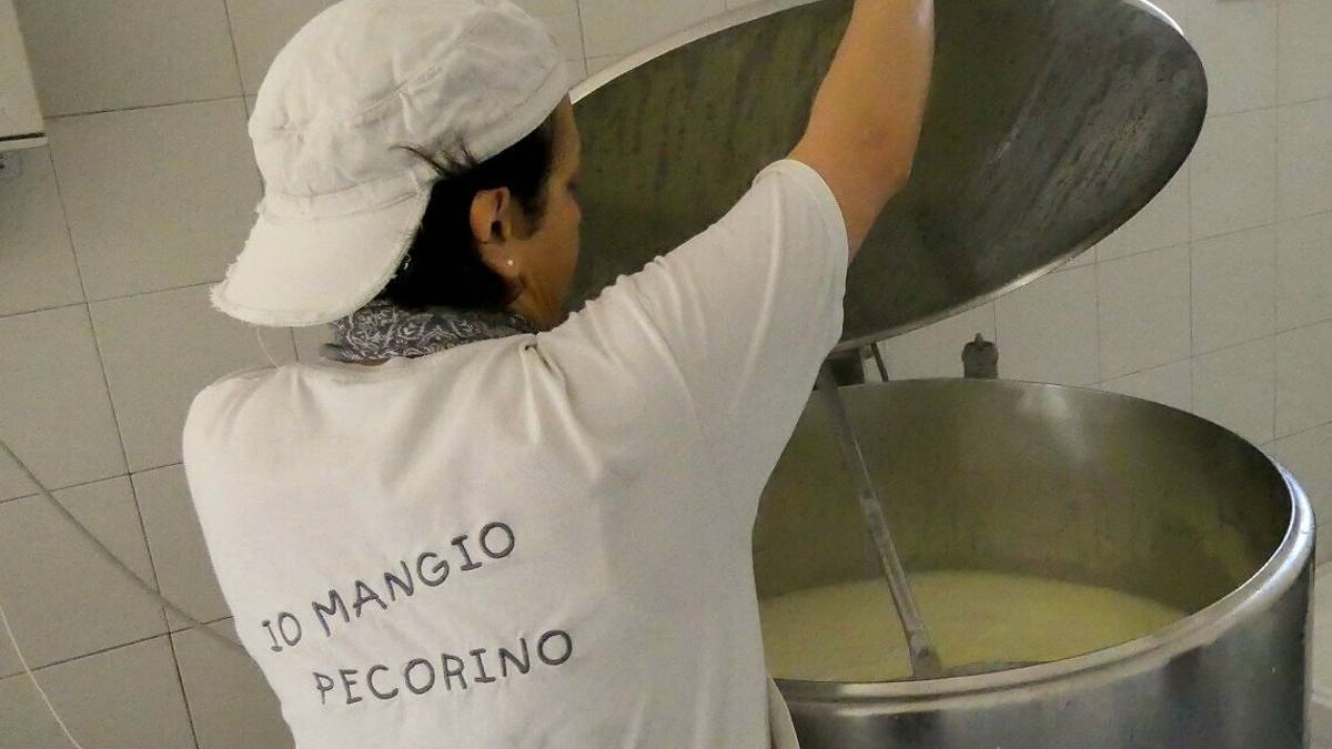 “Buon pastore” per scelta Latte crudo biologico e sapienza