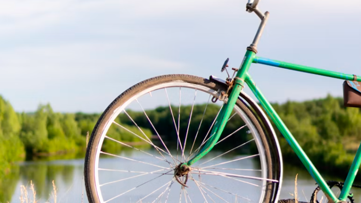 Marina di Ravenna: la bici a noleggio al Parco Marittimo costa solo 3 euro al giorno