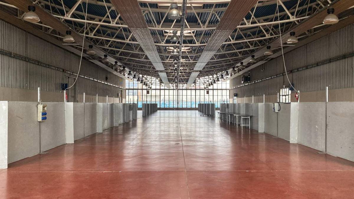 Faenza, una Fiera diffusa nei palazzi e nelle piazze del centro
