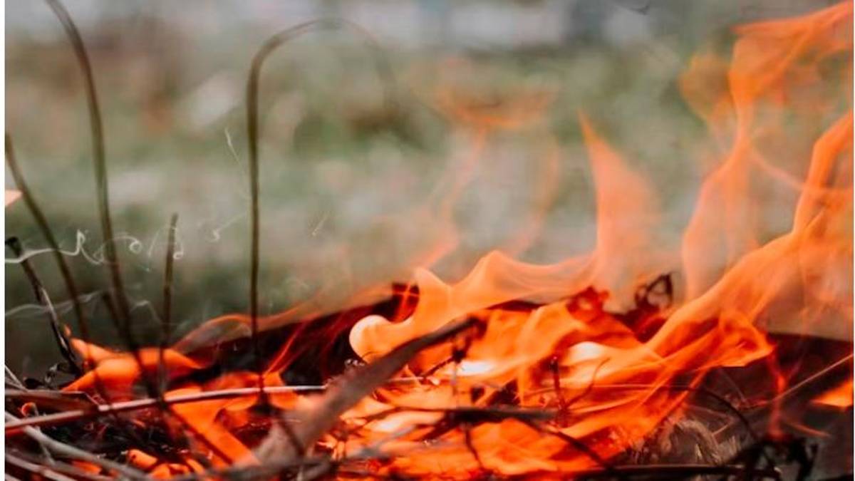 Rimini, dà fuoco alla siepe del vicino che gli impedisce di passare in carrozzina: denunciato 65enne