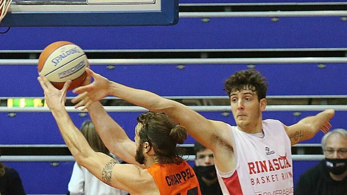 Basket B, le gare dei Tigers Cesena in differita su Teleromagna