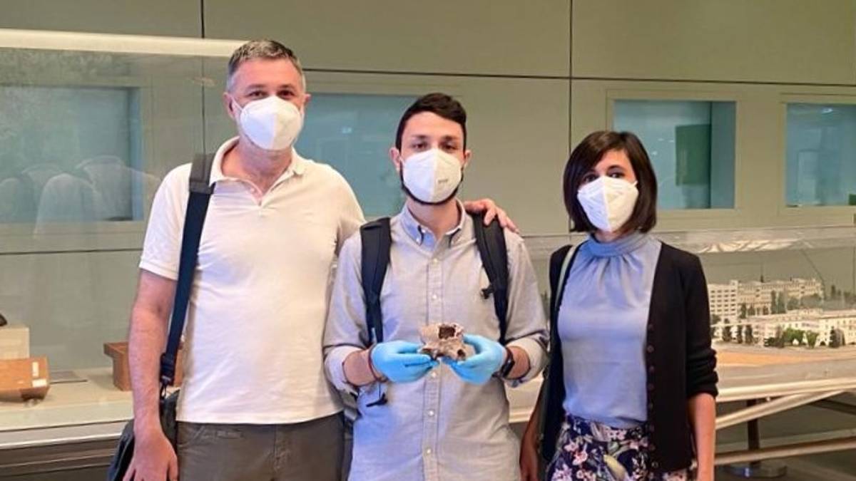 Forlì. Iena di 40mila anni fa studiata in Radiologia all'ospedale Morgagni-Pierantoni
