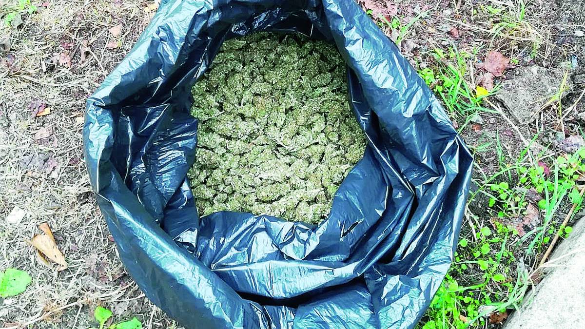Droga e armi nello chalet di pesca sportiva, arrestato 46enne di Imola