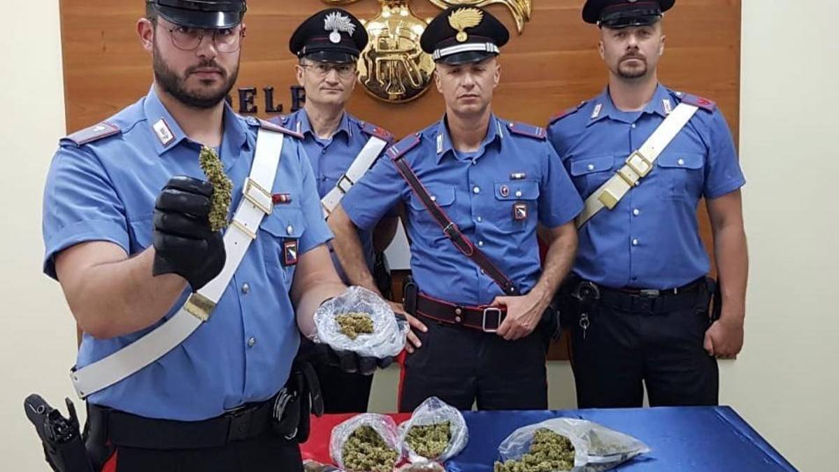 Droga nella scatola di scarpe, a Faenza in manette 18enne