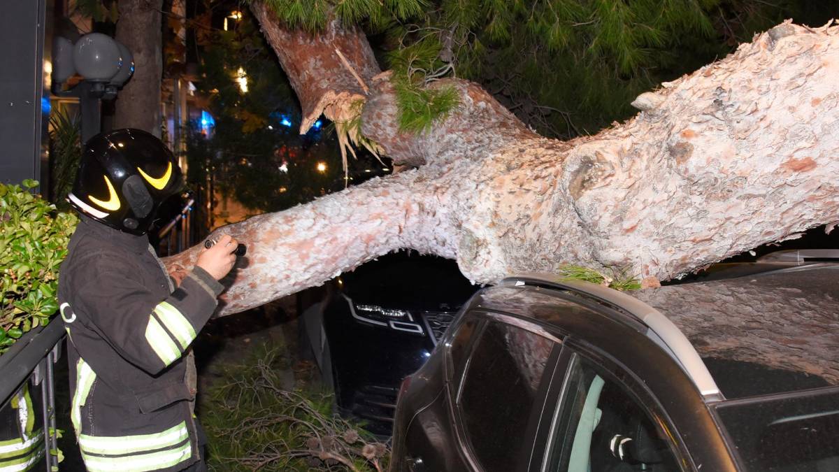 Romagna devastata dalle raffiche di vento: alberi crollati su case, auto e strade. Feriti a San Marino. Famiglie senza luce. Il fiume Montone oltre la soglia rossa