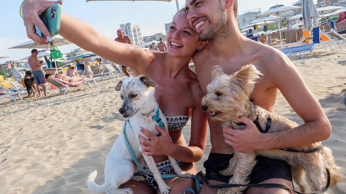 #getAltImage_v1($tempImage)