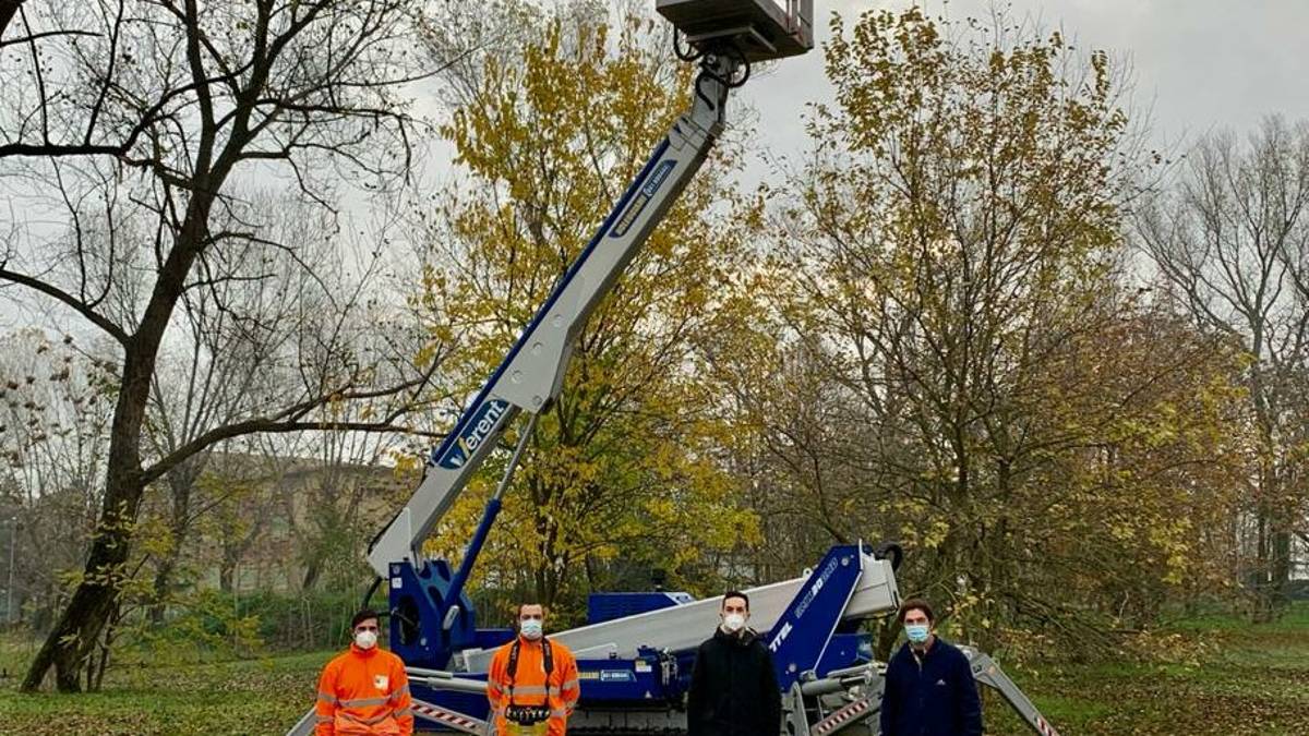 Maxi intervento su 1.425 alberi a Cesenatico