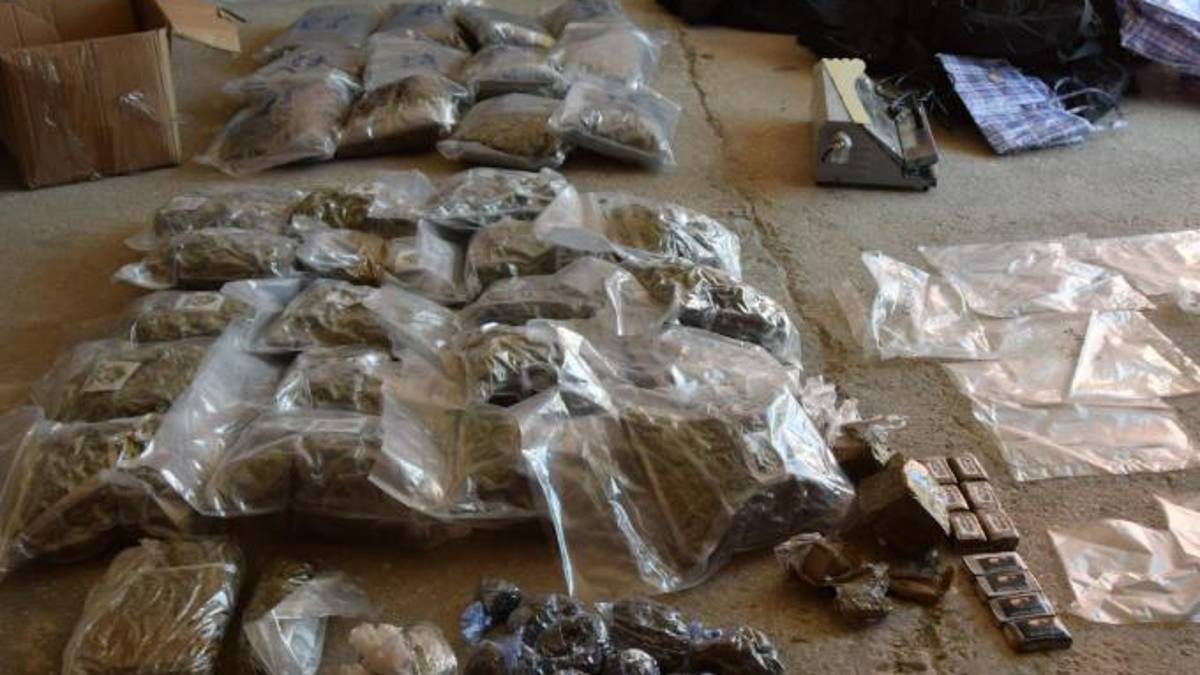 Rimini, marijuana in auto e nel magazzino: maxi sequestro da 42 chili