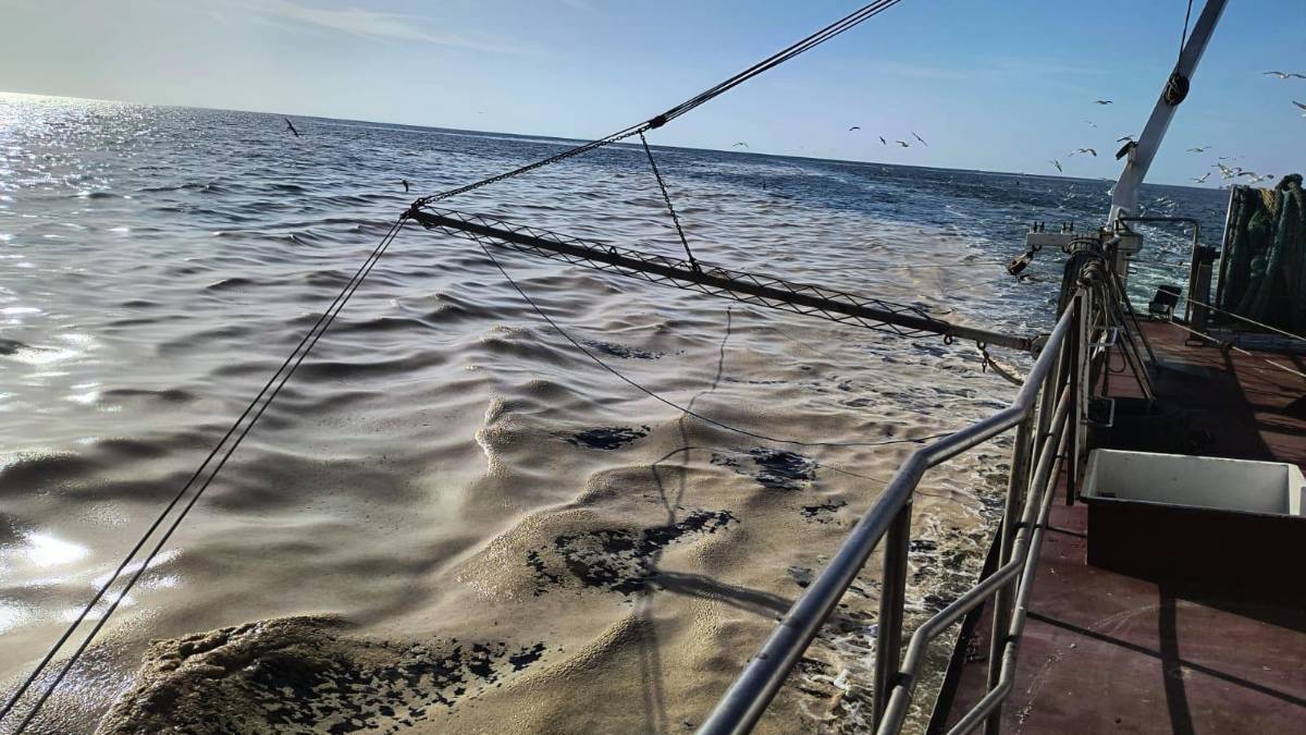 Mucillagine, anche Unci Agroalimentare lancia l’allarme per la pesca