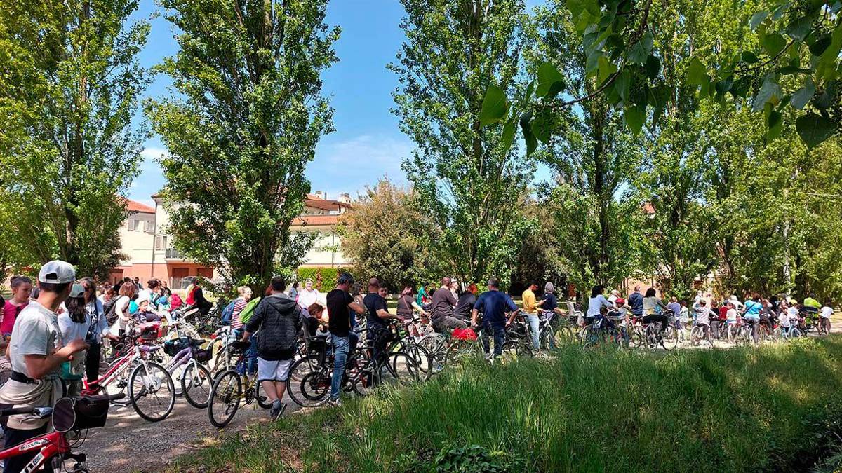 Bagnacavallo, in bicicletta alla scoperta dei grandi alberi