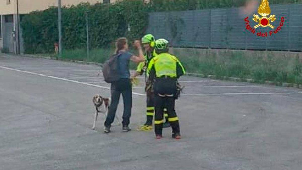 In uscita col cane alla diga di Ridracoli, finiscono col perdersi: soccorsi in elicottero
