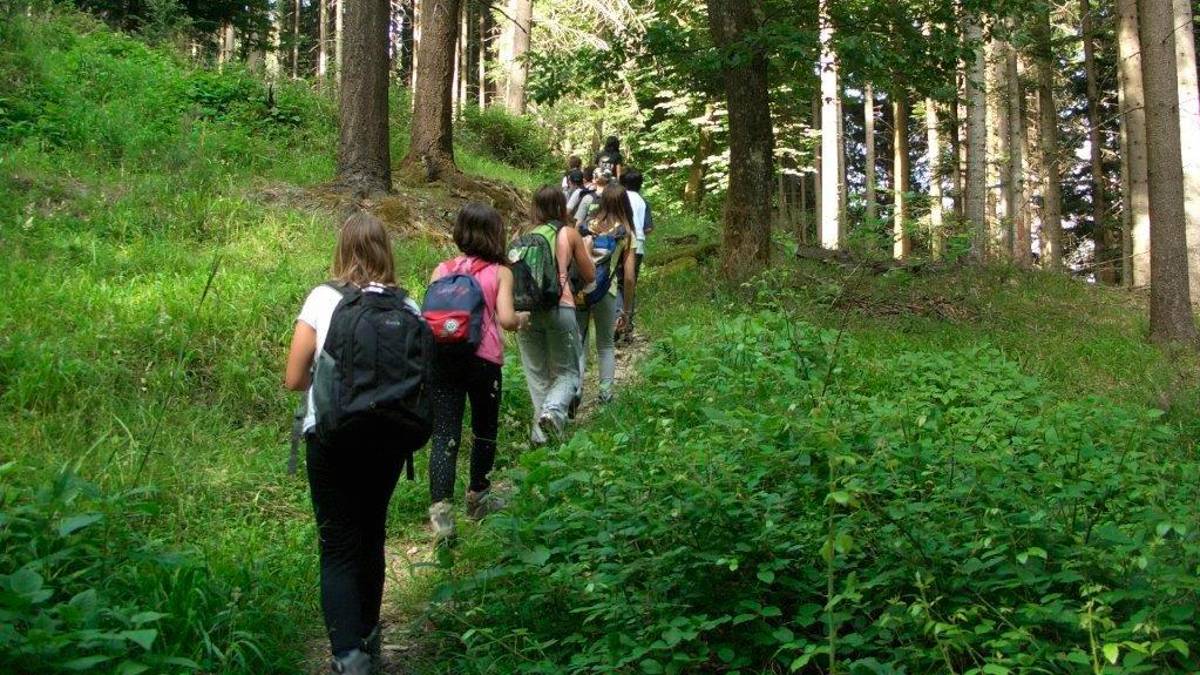 Alla scoperta del Parco della vena del gesso: arte, natura, trekking, nuove escursioni
