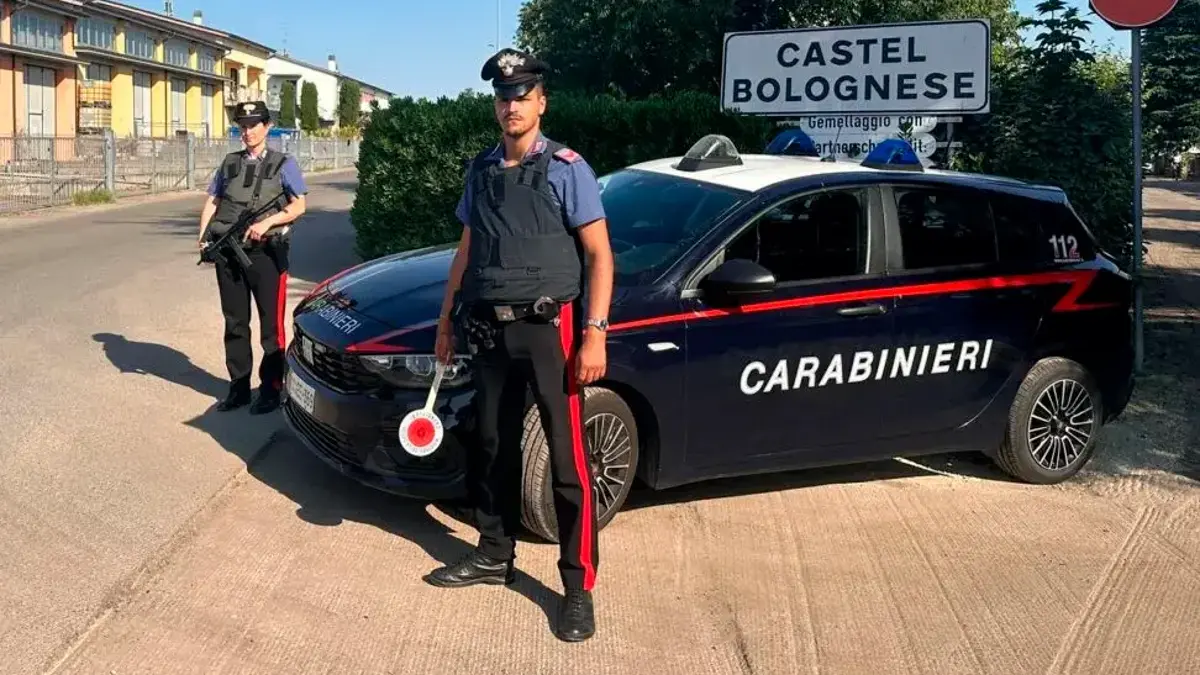 I carabinieri hanno recuperato le monete rubate