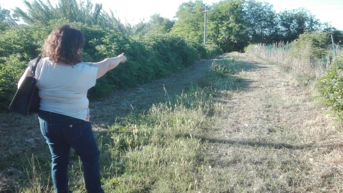 Savignano, donna aggredita in zona stadio: il referto del medico