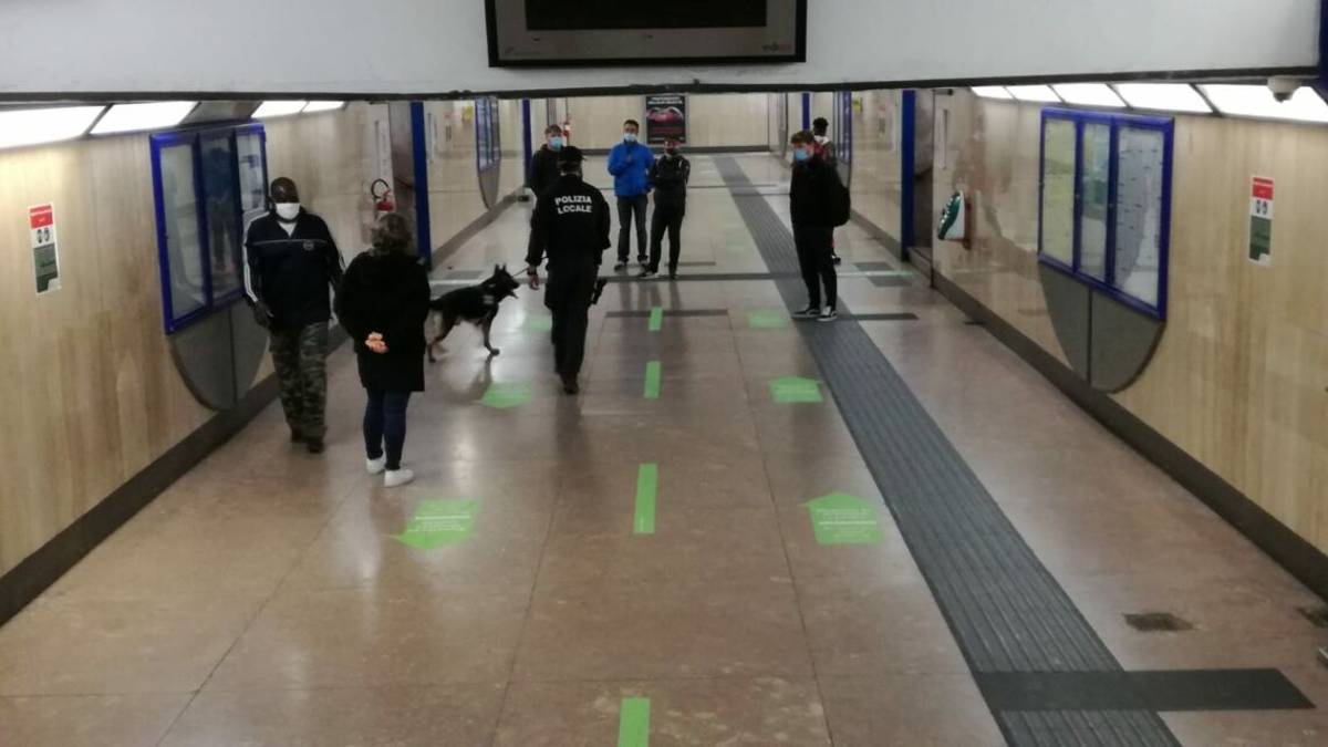 Guardia penitenziaria arrestata a Rimini per spaccio di marijuana