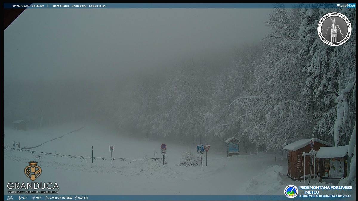La webcam sullo scenario di questa mattina a Campigna