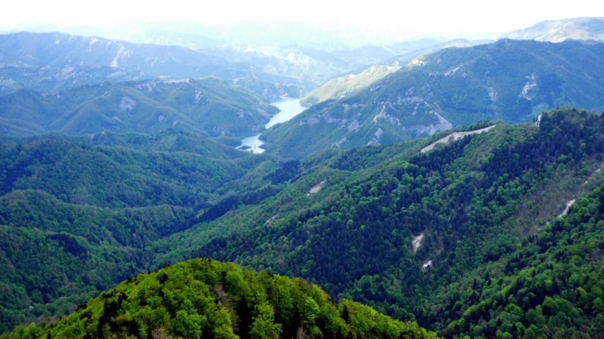 Parco Foreste Casentinesi, nominati i membri del direttivo