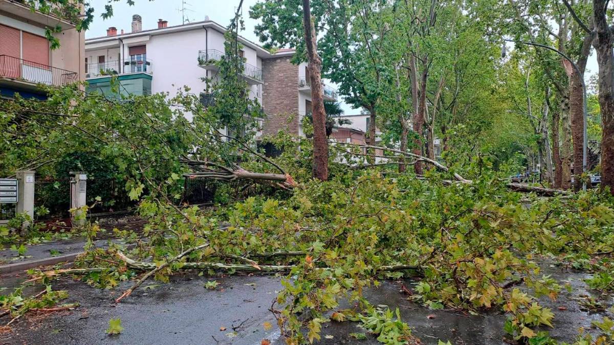 Nubifragio a Forlì: una strage di alberi e rami caduti, chiusi parchi e giardini pubblici