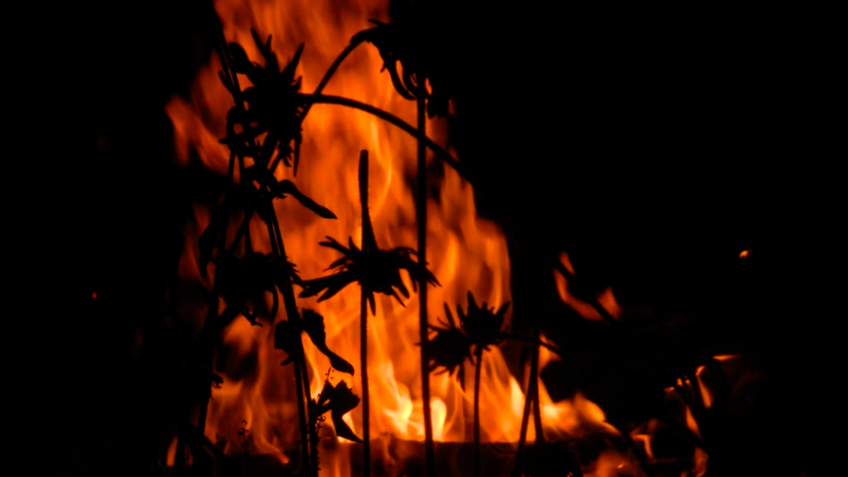 Rimini, litiga con i vicini e poi dà fuoco alla siepe: 46enne arrestata