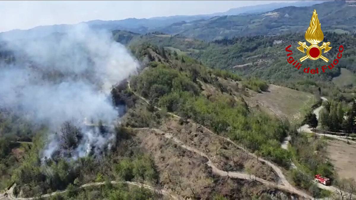 Modigliana, incendio nel bosco