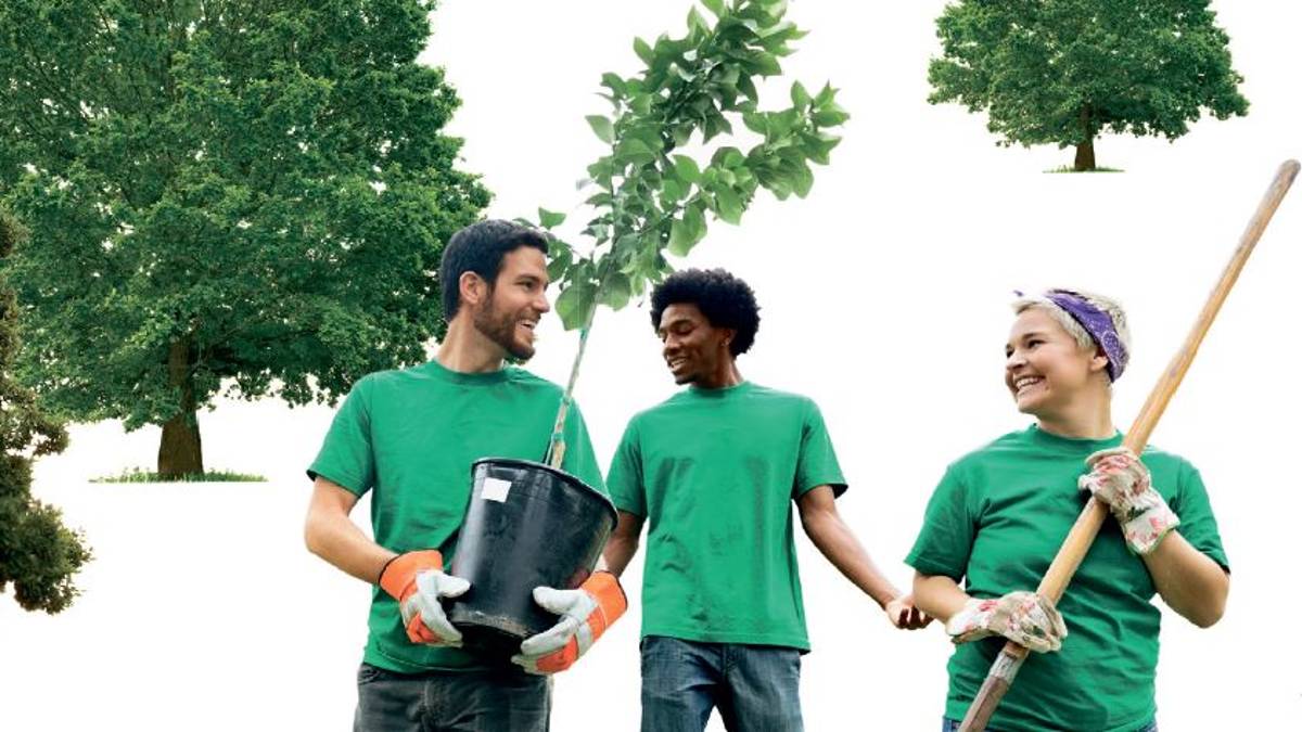 Da domani riprende la distribuzione gratuita delle piante grazie al piano della Regione “Mettiamo radici per il futuro”