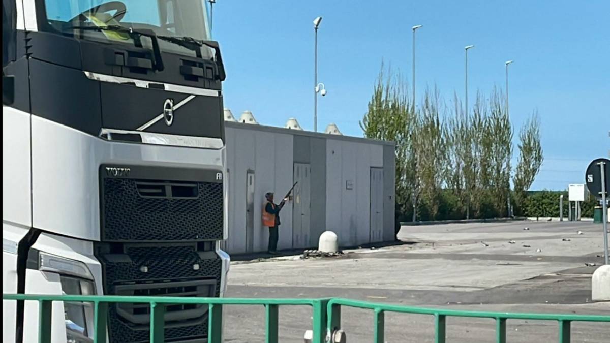 Fucilate contro i piccioni a Longiano: i pallini piovono su una bambina, sulle case dei vicini e le auto nella via Emilia - VIDEO