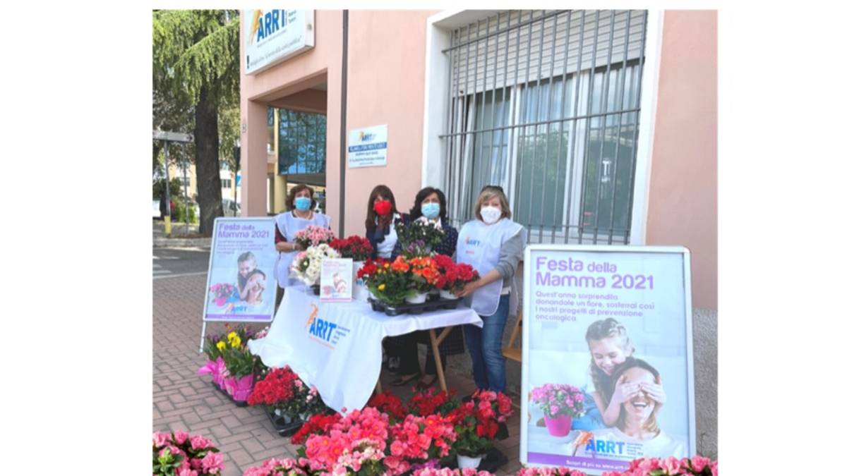 Le azalee dell'Artt Cesena per la Festa della Mamma: ecco dove trovarle